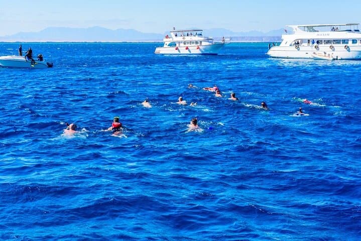 Paradise Island Full-Day Snorkel & Dolphin Watch from Hurghada photo 4