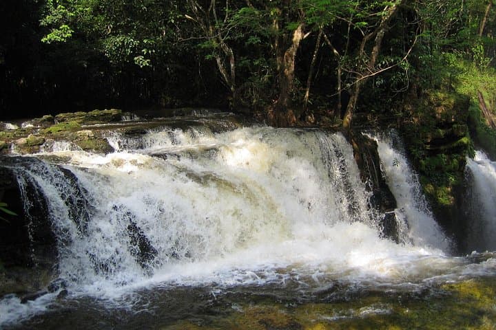 Day Trip to Presidente Figueiredo Waterfalls: Iracema, Sanctuary & Urubuí from Manaus photo 4