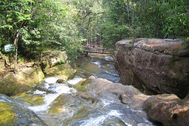 Day Trip to Presidente Figueiredo Waterfalls: Iracema, Sanctuary & Urubuí from Manaus photo 2