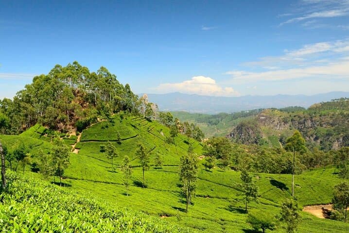 Nuwara Eliya & Ramboda Falls Day Tour from Kandy: Hakgala, Tea Factory & Gregory Lake photo 3