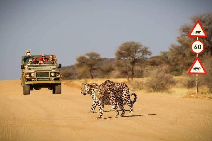 12-Day Classic Namibia Camping Safari — Etosha, Sossusvlei & the Skeleton Coast