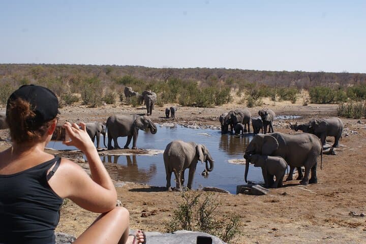 12-Day Classic Namibia Camping Safari — Etosha, Sossusvlei & the Skeleton Coast photo 3
