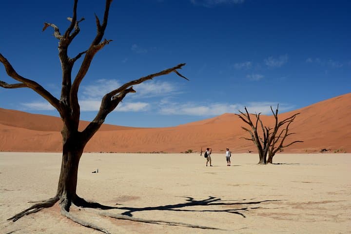 9-Day Etosha, Skeleton Coast & Sossusvlei Safari — Camping, Seals and Sand Dunes