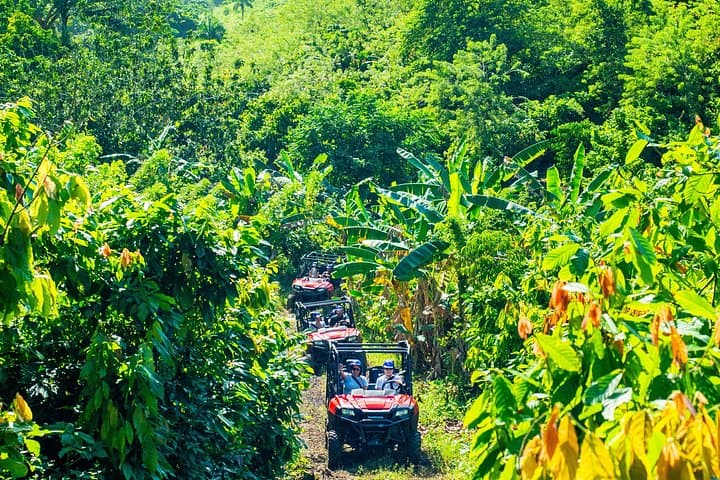 Punta Cana Jungle Buggies and Ziplines Adventure: Anamuya River & Casa del Coco photo 2