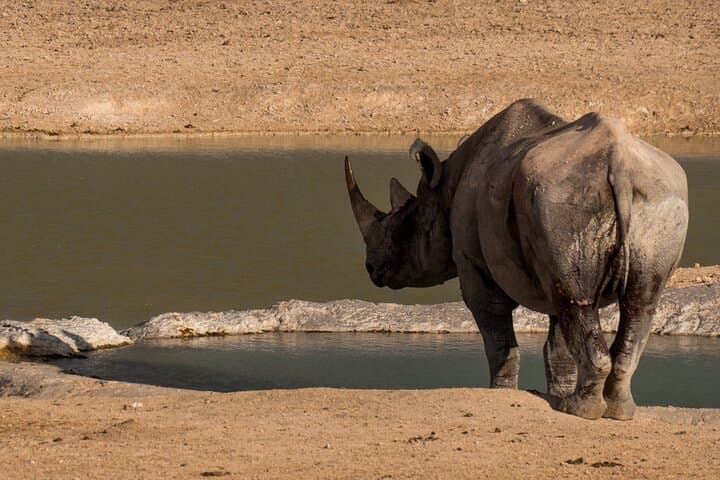 9-Day Etosha, Skeleton Coast & Sossusvlei Safari — Camping, Seals and Sand Dunes photo 4