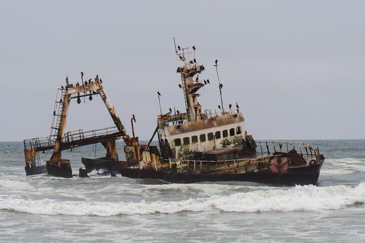 7-Day Northern Namibia & Skeleton Coast Camping Safari — Etosha, Himba & Cape Cross photo 6
