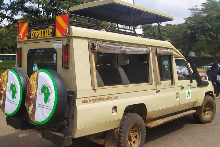Ngutuni Conservancy 2-Day Safari from Mombasa Beach — Game Drives & Lodge Stay photo 6
