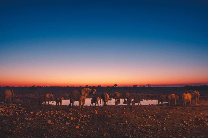 9-Day Etosha, Skeleton Coast & Sossusvlei Safari — Camping, Seals and Sand Dunes photo 3