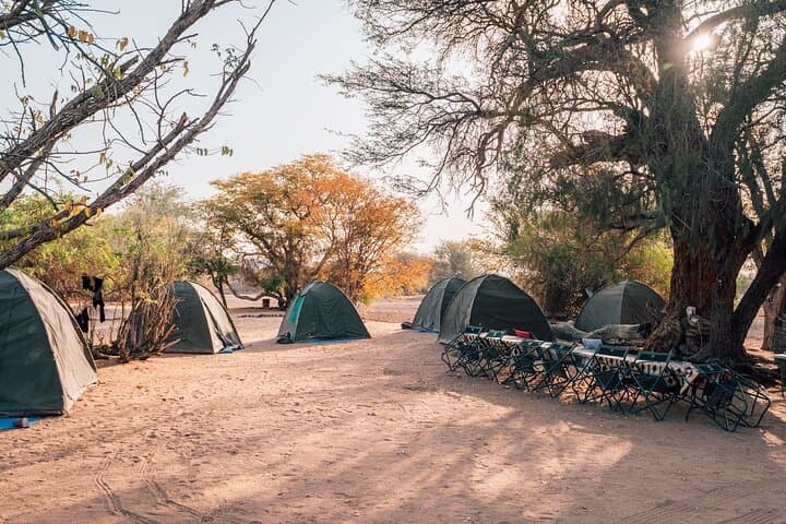 9-Day Etosha, Skeleton Coast & Sossusvlei Safari — Camping, Seals and Sand Dunes photo 5