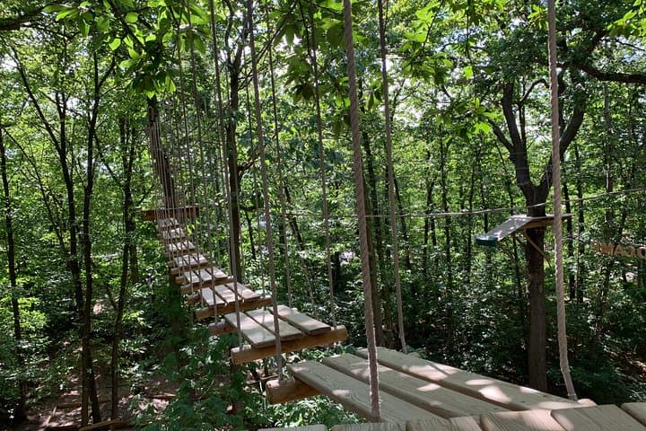 Tree-Top Accrobranche Adventure in Saint-Germain-en-Laye Forest photo 2