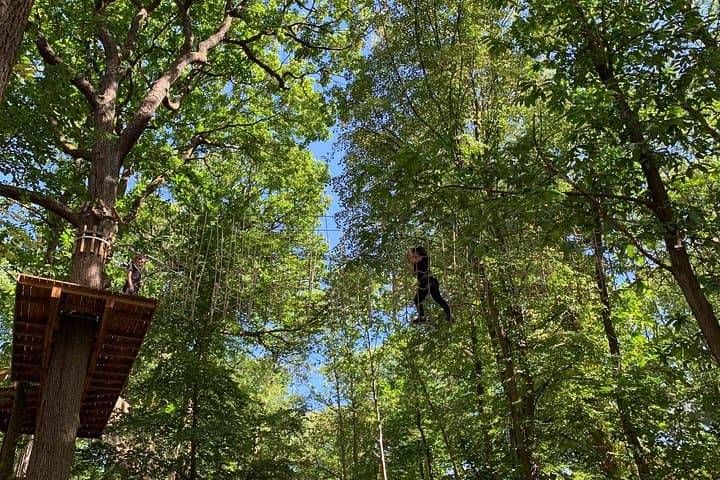 Tree-Top Adventure in Forest of Meudon — Accrobranche Courses Near Paris photo 2