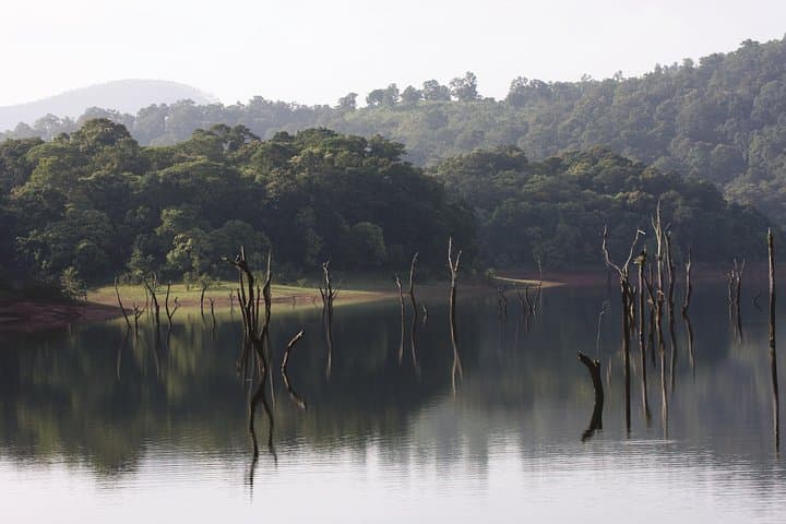 Madurai to Kodaikanal Day Trip: Guided Sightseeing by Car photo 2