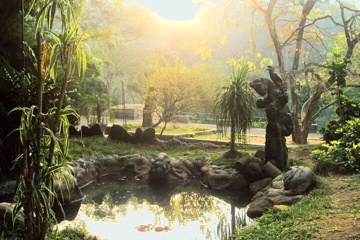 Madurai-to-Munnar Day Trip: Tea Plantations, Waterfalls & Eravikulam photo 2