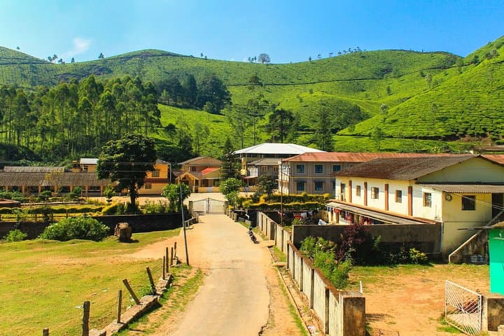 Madurai-to-Munnar Day Trip: Tea Plantations, Waterfalls & Eravikulam photo 4