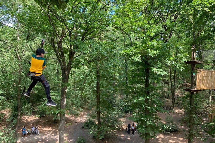 Tree-Top Accrobranche Adventure in Saint-Germain-en-Laye Forest