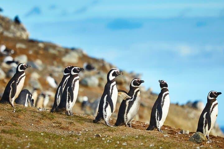 13-Day Chile Adventure: Atacama to Patagonia Highlights