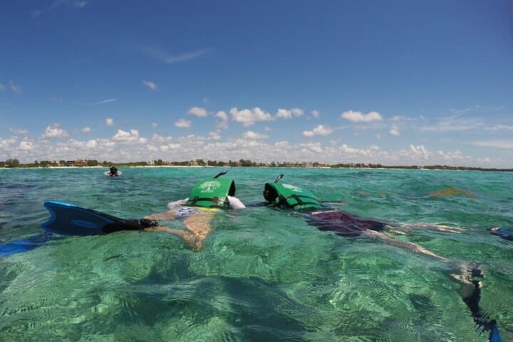 Private Underground River and Reef Snorkel Tour from Tulum photo 4