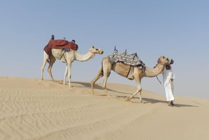 Dubai Desert Hot Air Balloon Sunrise with Falcon Show photo 3