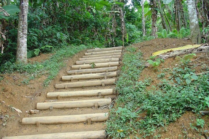 Gold Trail (Caminho do Ouro) Walking Tour — Paraty Guided Hike in Serra da Bocaina photo 3