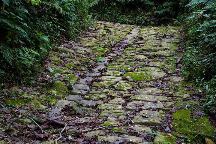 Gold Trail (Caminho do Ouro) Walking Tour — Paraty Guided Hike in Serra da Bocaina photo 2
