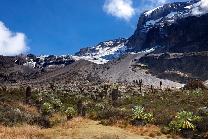 7-Day Machame Route Kilimanjaro Climb from Arusha — Private Summit Trek photo 2