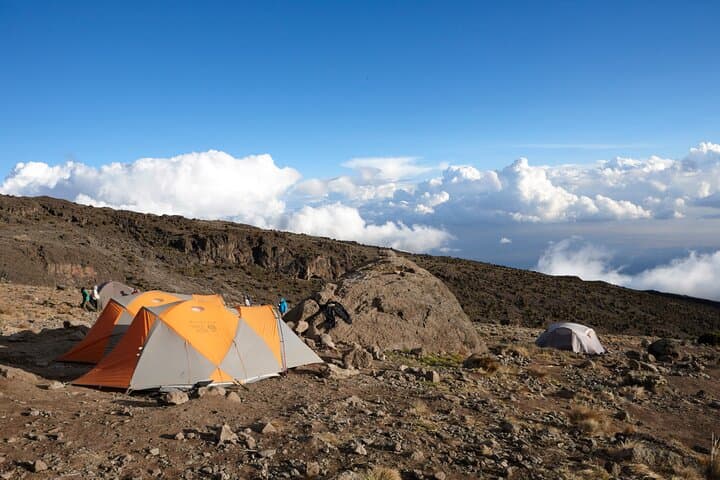 7-Day Machame Route Kilimanjaro Climb from Arusha — Private Summit Trek photo 6
