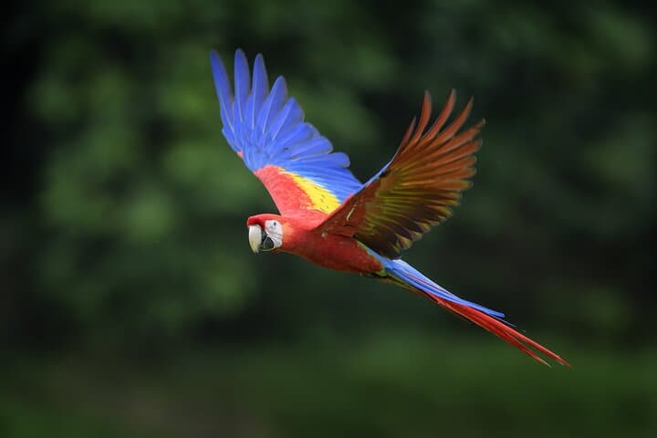 Full-Day Minca Coffee & Waterfall Tour from Santa Marta photo 3