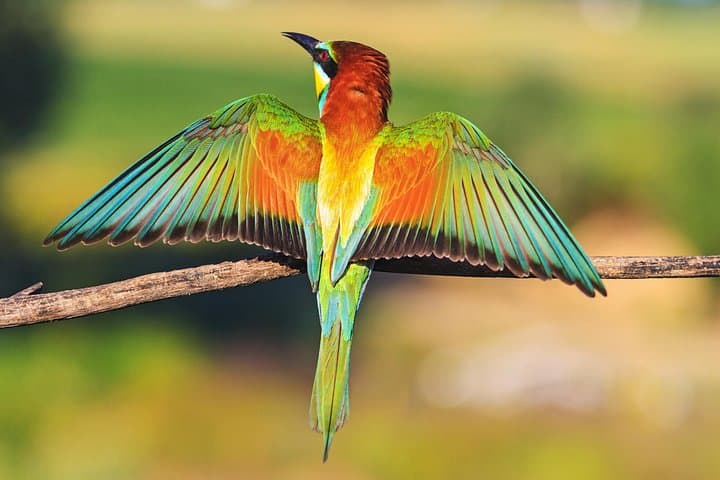 Full-Day Tayrona Park Tour: Hike, Swim and Beaches from Santa Marta photo 6