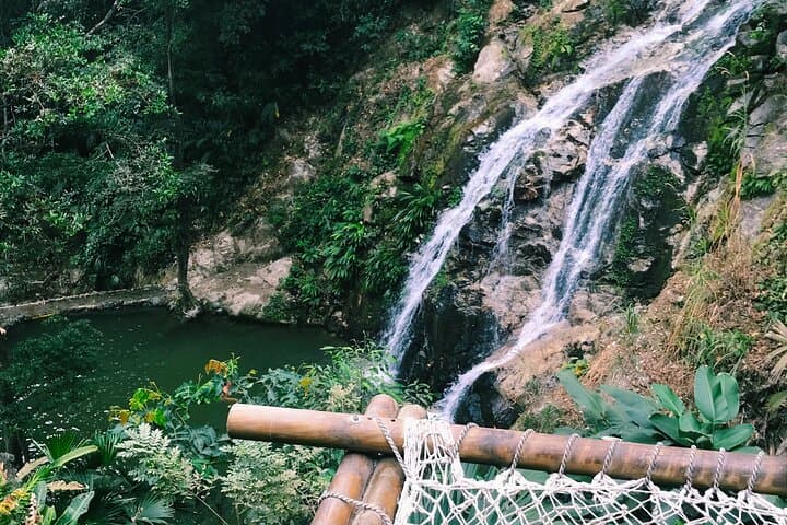 Full-Day Minca Coffee & Waterfall Tour from Santa Marta photo 4