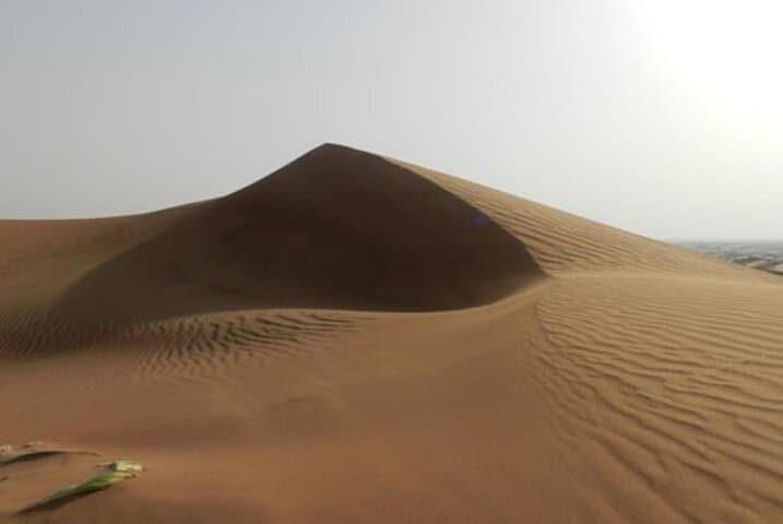 Dubai Desert Hot Air Balloon with Falcon Show — Sunrise Flight & Arabian Breakfast photo 3