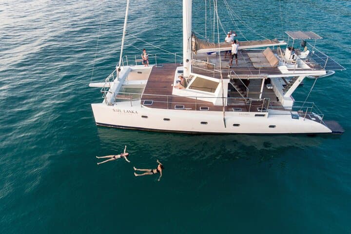 Trincomalee Whale Watching Yacht Tour — Spot Blue Whales & Dolphins from Dutch Bay photo 6