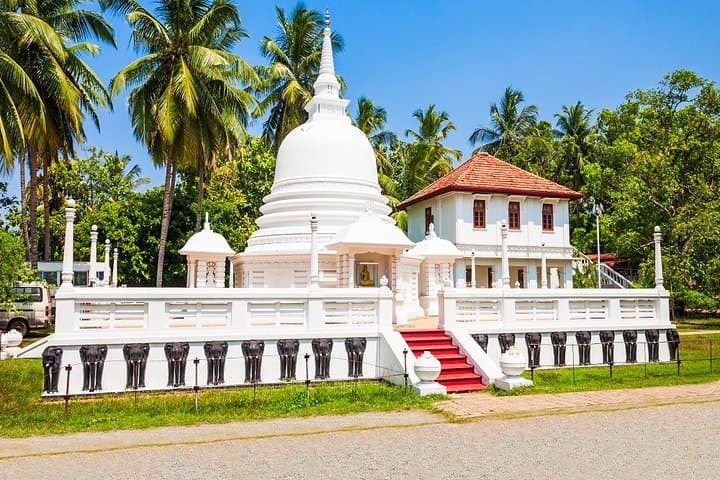 Negombo Tuk-Tuk City Safari: Fish Market, Dutch Fort & Hamilton Canal Discoveries photo 5