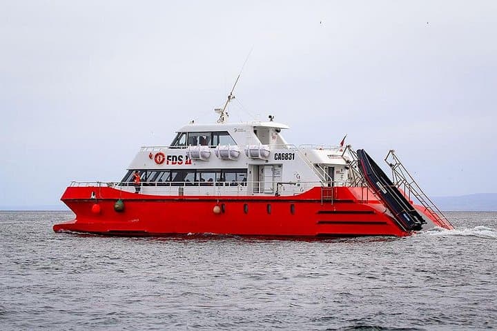 Half-Day Sailing to Magdalena Island Penguin Colony from Punta Arenas photo 4