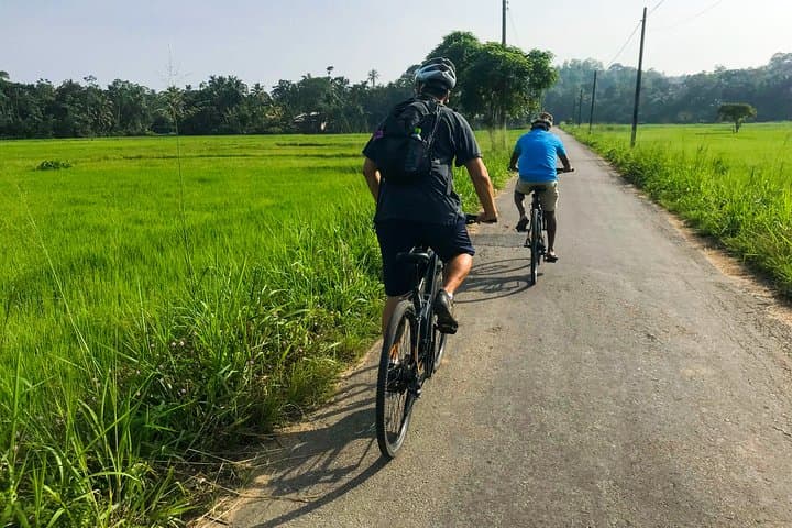 Galle Countryside Cycling: Tea Plantations, Paddy Fields & Hiyare Forest Dip photo 4
