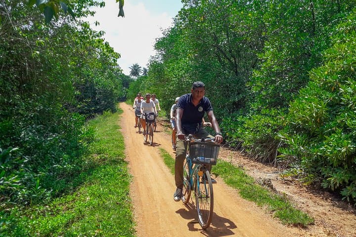 Galle Countryside Cycling: Tea Plantations, Paddy Fields & Hiyare Forest Dip