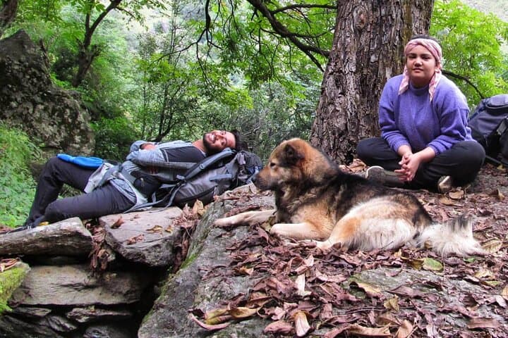 Tirath Expedition Trek to Tirath Hans Kund & Saketi Top — Great Himalayan National Park photo 5