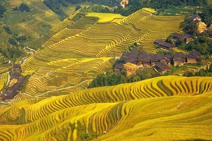 Dragon's Backbone Rice Terraces & Ping'an Village Day Trip — Guilin Full-Day Cultural Hike photo 5
