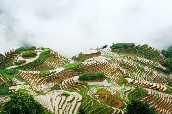 Dragon's Backbone Rice Terraces & Ping'an Village Day Trip — Guilin Full-Day Cultural Hike photo 4