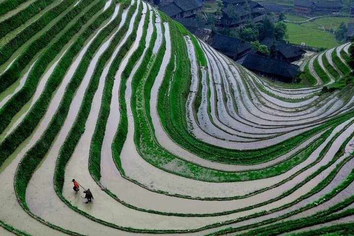 Dragon's Backbone Rice Terraces & Ping'an Village Day Trip — Guilin Full-Day Cultural Hike photo 2