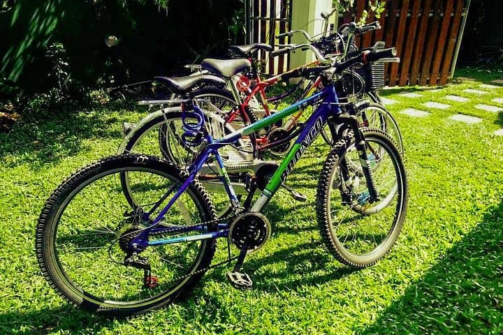 Morning Sports Cycling Through Galle Countryside: 50km Guided Ride photo 3