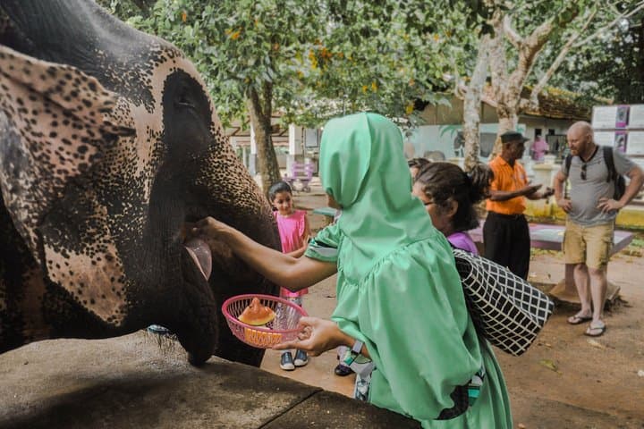Halal-Friendly 6-Day Sri Lanka Highlands Tour — Kandy to Nuwara Eliya with Cultural & Wildlife Highlights photo 2