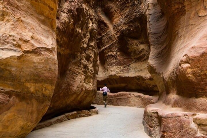 Private Guided Petra Discovery: Rose-Red City Day Tour from Amman