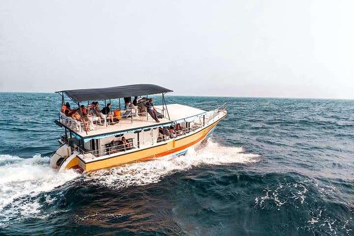 Mirissa Whale-Watching Yacht Tour — Half-Day Whale & Dolphin Expedition photo 6