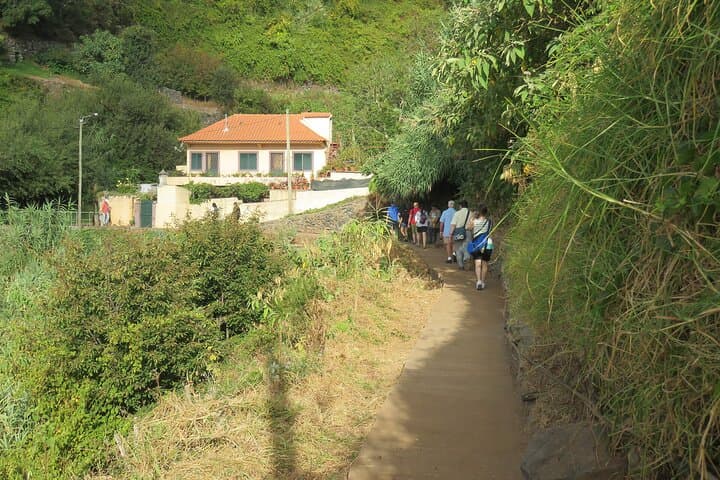 Levada do Estreito (Wine Route) — Easy Levada Walk Through Madeira Vineyards photo 2