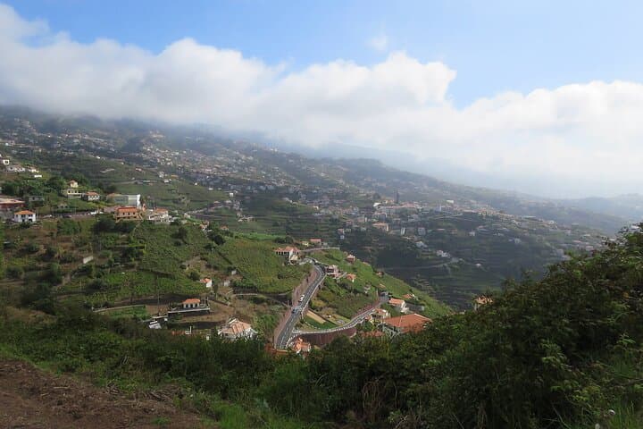 Levada do Estreito (Wine Route) — Easy Levada Walk Through Madeira Vineyards photo 4