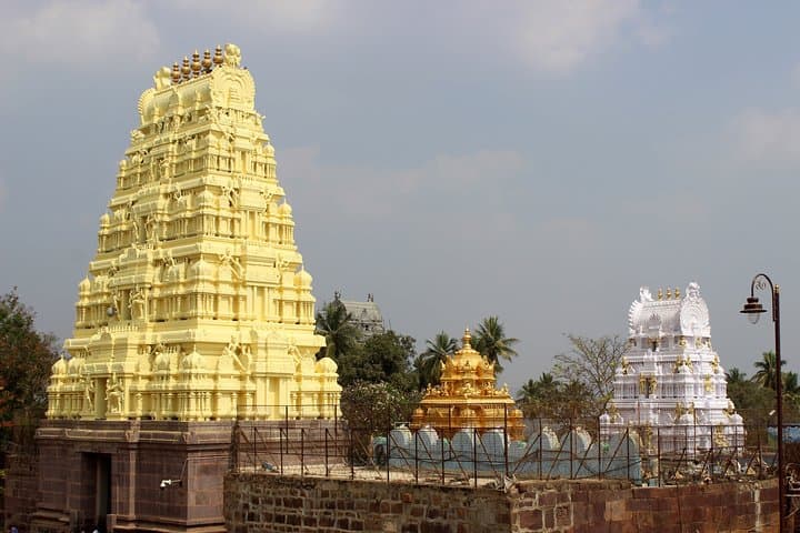 Srisailam Day Trip from Hyderabad: Mallikarjuna Temple, Dam & Reservoir photo 4