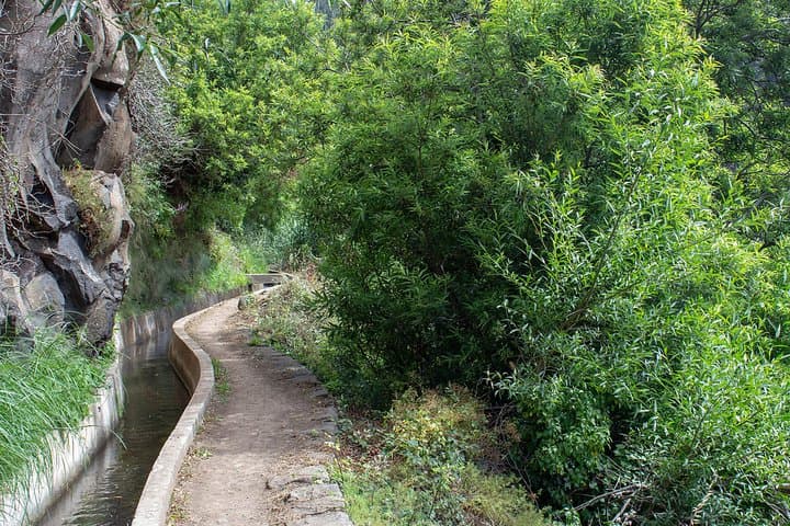 Serra D'Água Valley Walk: South Madeira's Flora, Views & Gentle Trails photo 2