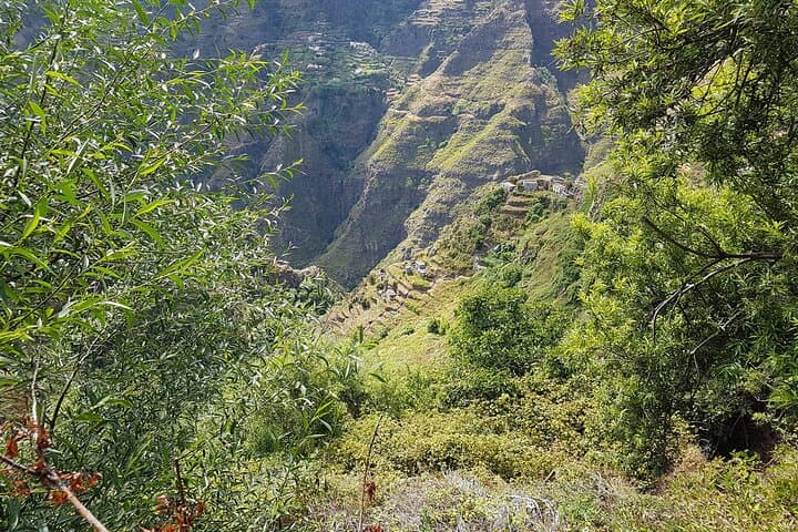 Serra D'Água Valley Walk: South Madeira's Flora, Views & Gentle Trails photo 4