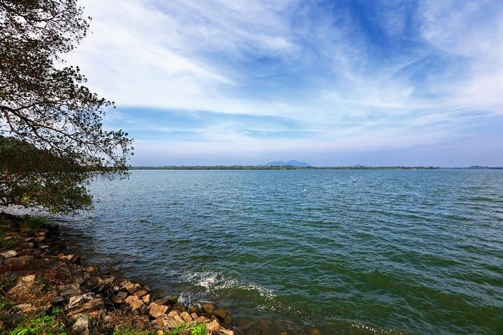 Ritigala, Kala Wewa & Namal Uyana Day Tour from Habarana — Cloud-Forest, Ancient Reservoirs & Ironwood Grove