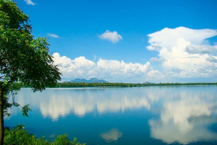 Ritigala, Kala Wewa & Namal Uyana Day Tour from Habarana — Cloud-Forest, Ancient Reservoirs & Ironwood Grove photo 3